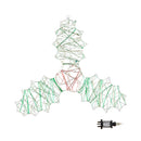 42cm x 44cm Light up Christmas Holly and Berries Dewdrop Silhouette with Twinkling LEDs