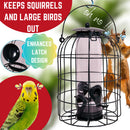 Wild Bird Hanging Nut Feeder with Squirrel Guard
