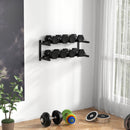 SPORTNOW Wall-Mounted Dumbbell Rack, 2-Tier Steel Design, Black