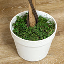 Outsunny Set Of 2 90cm Artificial Rose Tree, Fake Decorative Plant