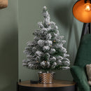 2ft (60cm) Battery Operated Snow Flocked Mini Christmas Tree in Silver Pot with Warm White LEDs