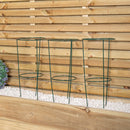 Tom Chambers Urban Green Conical Garden Plant Support Ring 20cm- Small