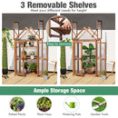 Cold Frame Mini Wooden Greenhouse with Transparent Openable Roof