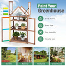 Cold Frame Mini Wooden Greenhouse with Transparent Openable Roof