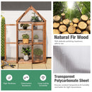 Cold Frame Mini Wooden Greenhouse with Transparent Openable Roof