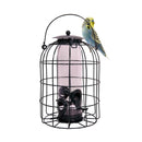 Wild Bird Hanging Nut Feeder with Squirrel Guard