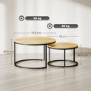 HOMCOM 2 Pcs Stacking Coffee Table Set With Steel Frame