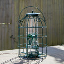 Samuel Alexander Metal Hanging Bird Seed Feeder with Squirrel Guard