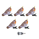 Set of 5 Light up Acrylic Christmas Robin Decoration with 30 Ice White LEDs