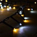 50m 2000 LED TreeBrights Christmas String Lights with Timer in Cool White & Warm White