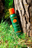 Calypso Insect Repellent Spray For Mosiquitos Midges Horseflies Camping 150ml - With DEET