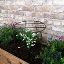 Tom Chambers Urban Dark Green Metal Herbaceous Garden Plant Support Grow Through Medium 50cm X 30cm