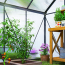 Outsunny Polycarbonate Walk-in Garden Greenhouse w/ Sliding Door