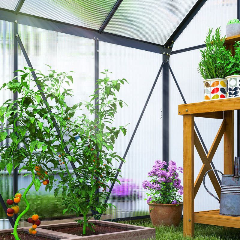 Outsunny Polycarbonate Walk-in Garden Greenhouse w/ Sliding Door