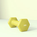 SPORTNOW Set of 2 Hexagonal Dumbbells Weights Pair, 2 x 1kg, Yellow