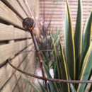 Pack of 4 Tom Chambers Herbaceous Bare Rusted Steel Garden Plant Support Medium 54cm x 40cm