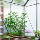 Outsunny Polycarbonate Walk-in Garden Greenhouse W/ Sliding Door