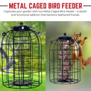 Wild Bird Fat Ball Feeder with Squirrel Guard
