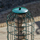 Samuel Alexander Metal Hanging Bird Fat Ball Feeder with Squirrel Guard