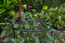 80cm X 45cm Large Cottage Heavy Duty Black Metal Herbaceous Garden Plant Support Grow Through