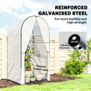 Outsunny Mini Greenhouse, Small Greenhouse with PE Base, White