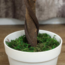 Outsunny Set Of 2 90cm Artificial Rose Tree, Fake Decorative Plant