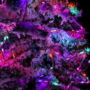 2.6m Set of 10 Star Curtain Lights 227 Rainbow LEDs Microbrights String Lights