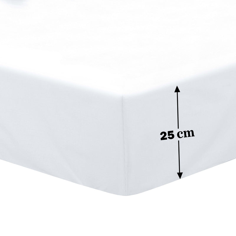 Lewis's Non-Iron Percale Sheet Range – White