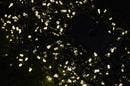 960 LED 12.4m Premier Clusterbrights Indoor Outdoor Multifunction Mains Operated Christmas Cluster Lights with Timer in Warm White