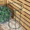 Tom Chambers Urban Green Conical Garden Plant Support Ring 20cm- Small