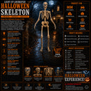 GIANT 8ft (240cm) Standing Indoor Outdoor Animatronic Halloween Skeleton Decoration