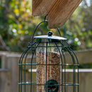 Samuel Alexander Metal Hanging Bird Seed Feeder with Squirrel Guard