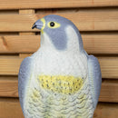 41cm Large Outdoor Plastic Falcon Bird Deterrent