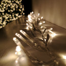 960 LED 12.4m Premier Cluster Indoor Outdoor Multi Function Mains Operated Christmas Lights with Timer on Clear Cable in Warm White