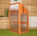 Samuel Alexander Wooden Mini Greenhouse Cold Frame - Small Greenhouse H120 x W69 x D49cm