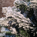 Kaemingk 6ft (180cm) Flocked Snowy Imperial Pine Hinged Christmas Trees