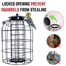 Wild Bird Fat Ball Feeder with Squirrel Guard