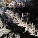 8ft (240cm) Premier Slim Green Lapland Spruce Snow Flocked Christmas Tree PE PVC Mixed Branches