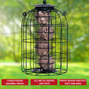 Wild Bird Fat Ball Feeder with Squirrel Guard
