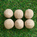 Pack of 6 Bird Wildlife Nutritional Suet Fat Balls