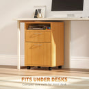 HOMCOM 60cm Filing Cabinet with Drawers and Open Shelf