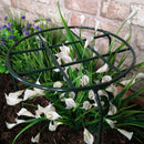 Tom Chambers Urban Dark Green Metal Herbaceous Garden Plant Support Grow Through Small 40cm X 20cm