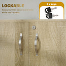 Vinsetto 2-Tier Locking Filing Cabinet Office Storage Cabinet