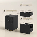 HOMCOM 2 Drawer Filing Cabinet with Adjustable Hanging Bars for A4 and Letter