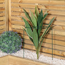 Tom Chambers Urban Dark Green Metal Herbaceous Garden Plant Support Grow Through Medium 50cm X 30cm