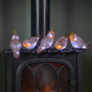 Set of 5 Light up Acrylic Christmas Robin Decoration with 30 Ice White LEDs