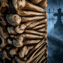 Home Accents 7.5ft Tall Skull and Bones Halloween Entrance Archway Decoration
