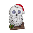 25cm Battery Operated Outdoor Blinkin' Snowy Christmas Owl with White LEDs & Timer Function