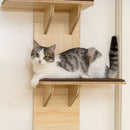 PawHut 4-Level Cat Tree Door Mounted With Washable Plush Pads, Toy Ball
