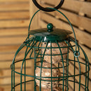 Wild Bird Fat Ball Feeder with Squirrel Guard